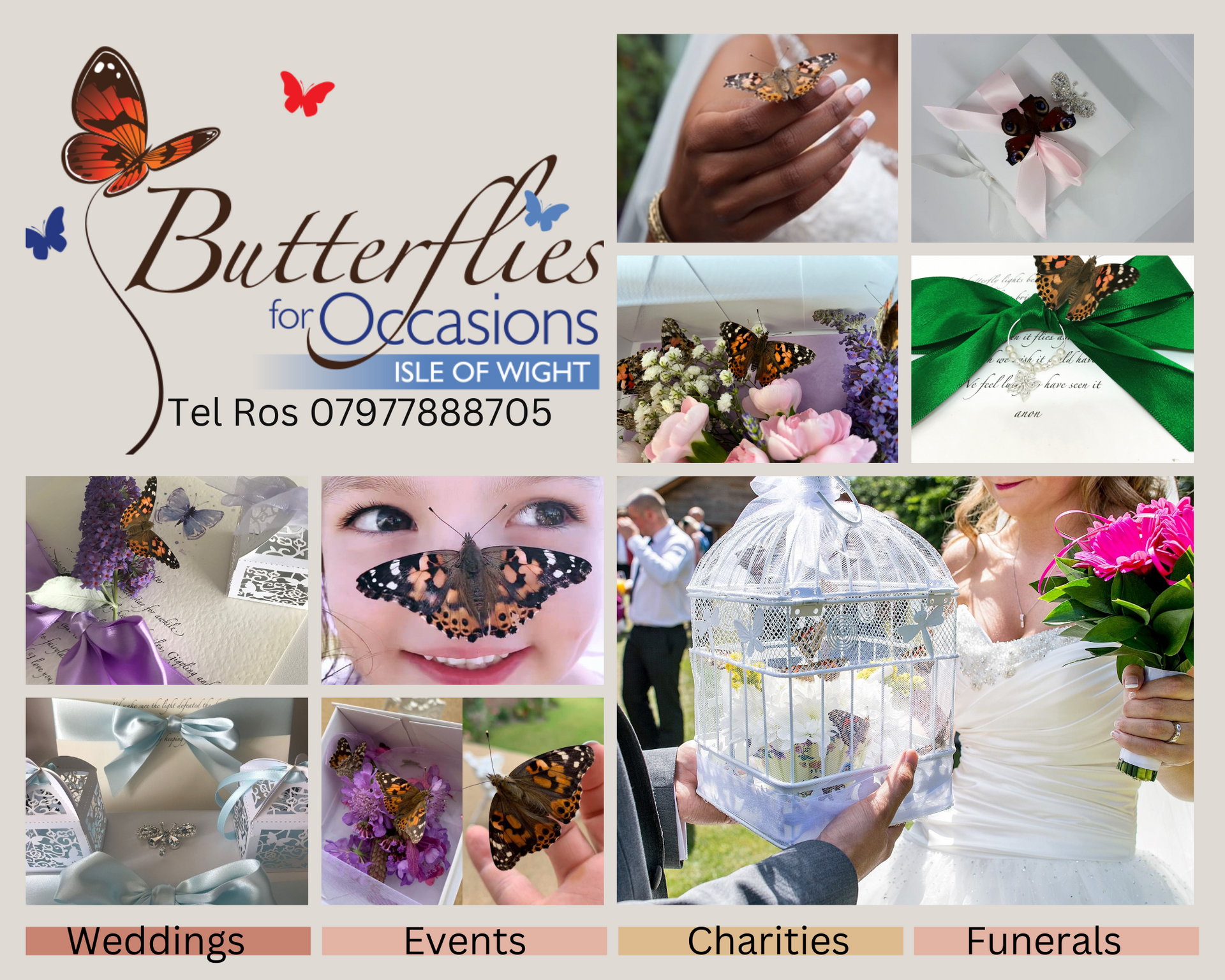 Butterflies for Occasions: butterflies on bride, child, cage, flowers; Isle of Wight, UK, for weddings, events, charities, funerals.