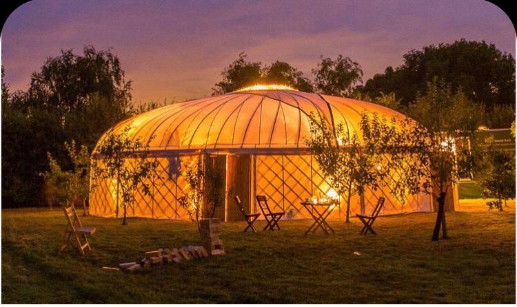 A glowing yurt at dusk, with trees and outdoor seating.
