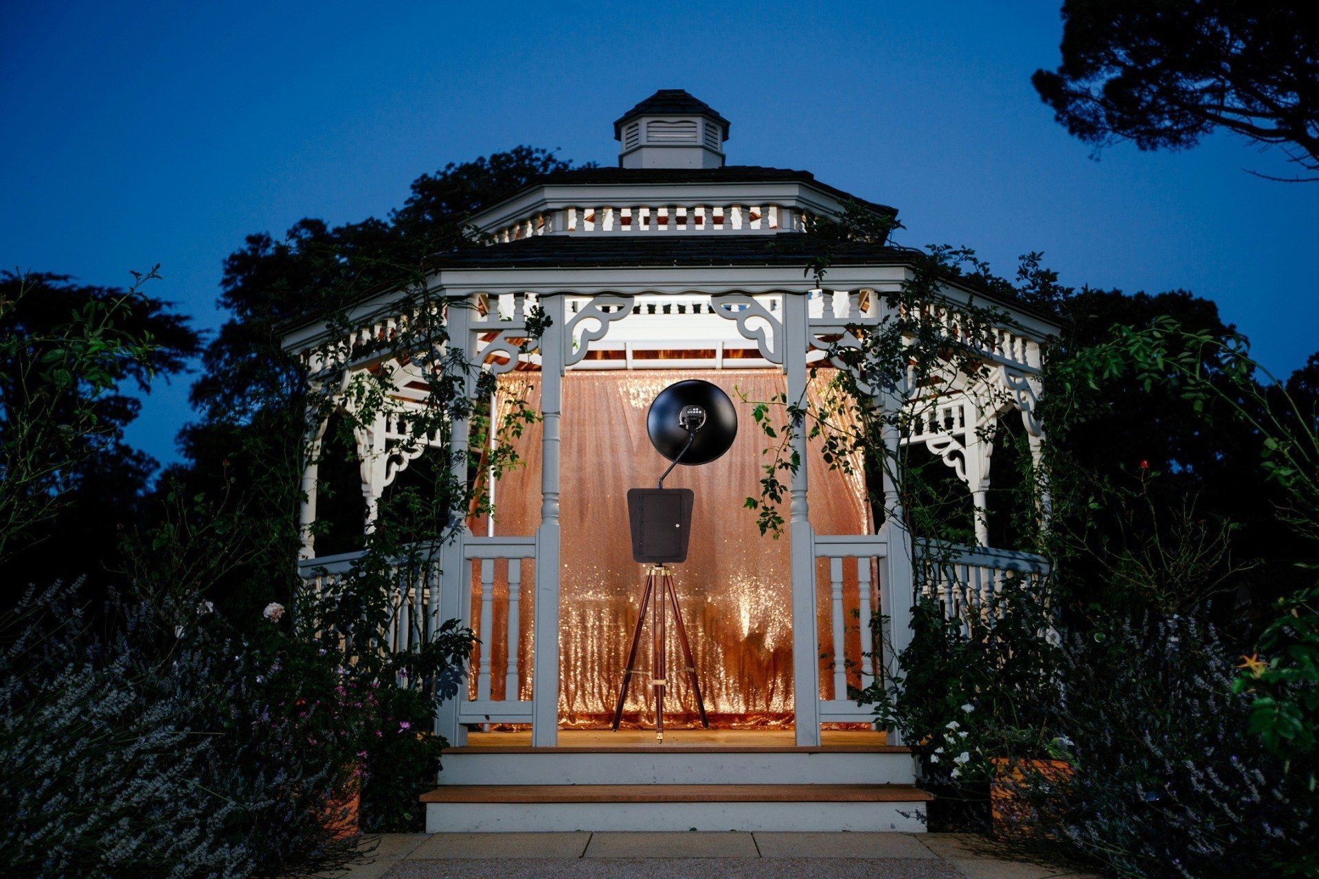 White gazebo lit with string lights at dusk. Vines climb the columns.