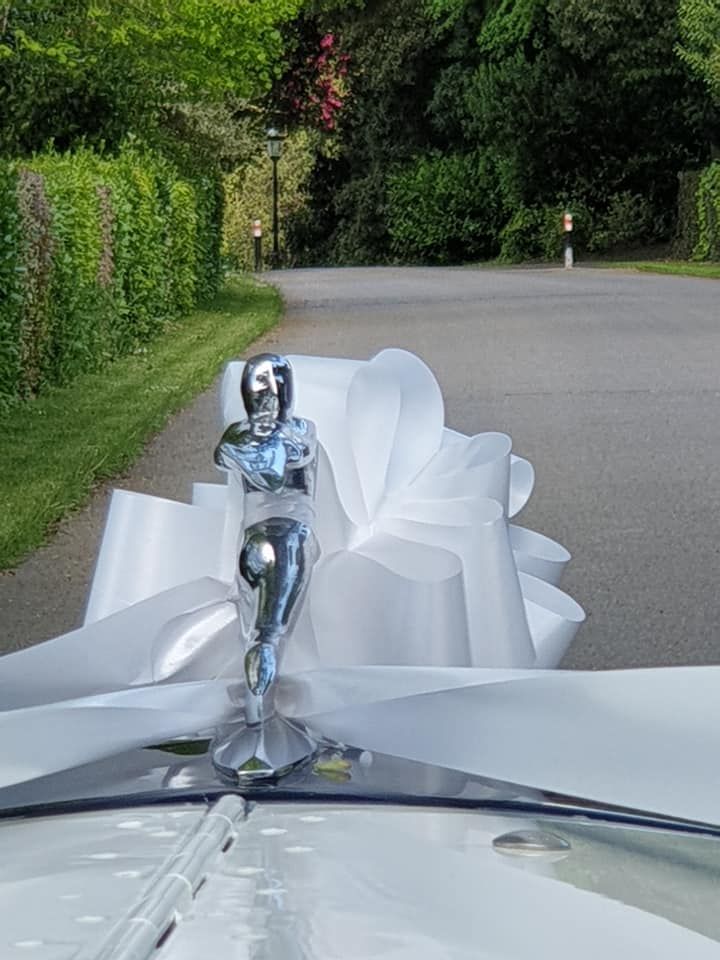 A white car with a large white bow on its hood, a chrome figurehead, on a paved road lined with greenery.