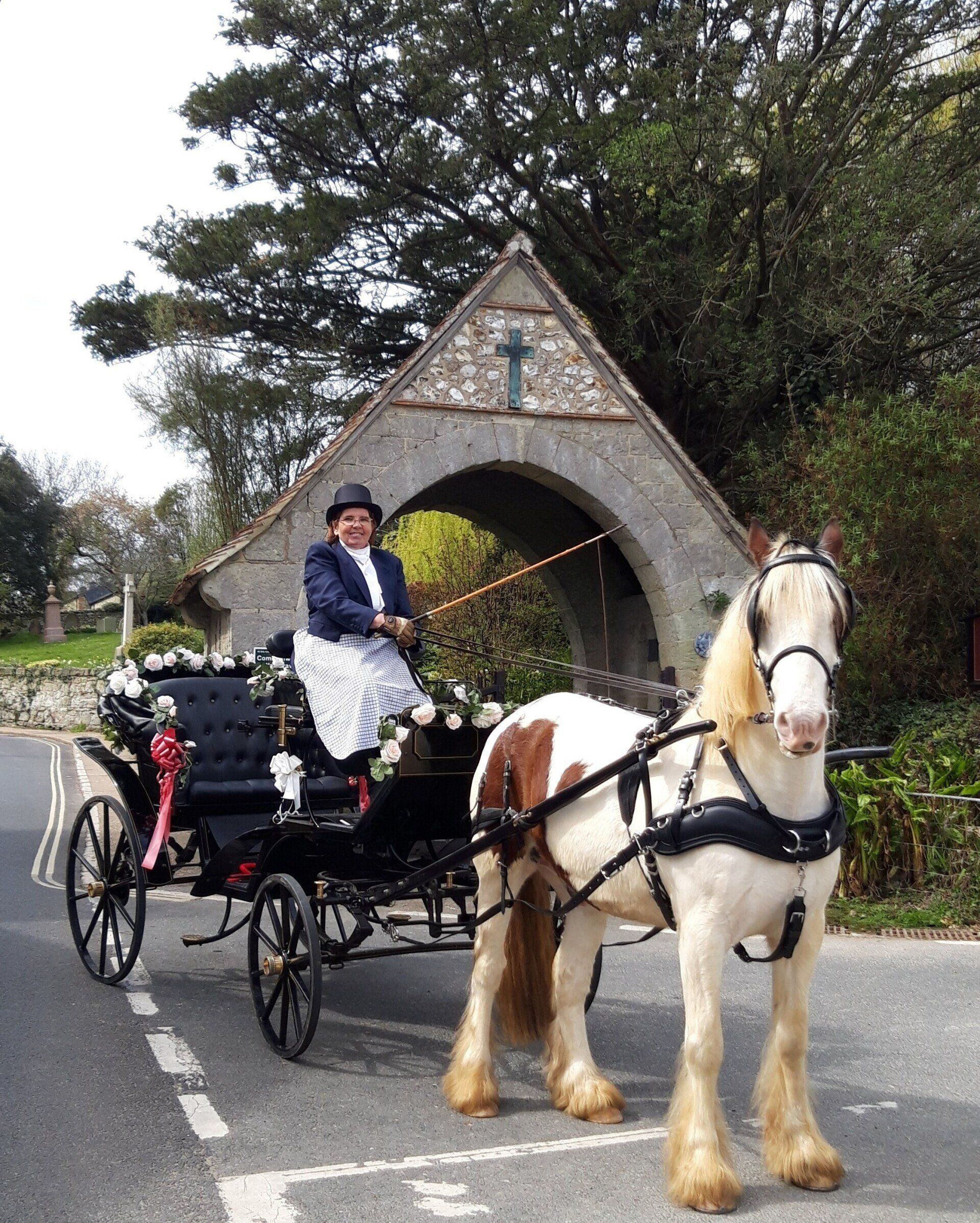 Horse-drawn carriage with a person at the reins in front of a stone archway. The horse is white and brown.