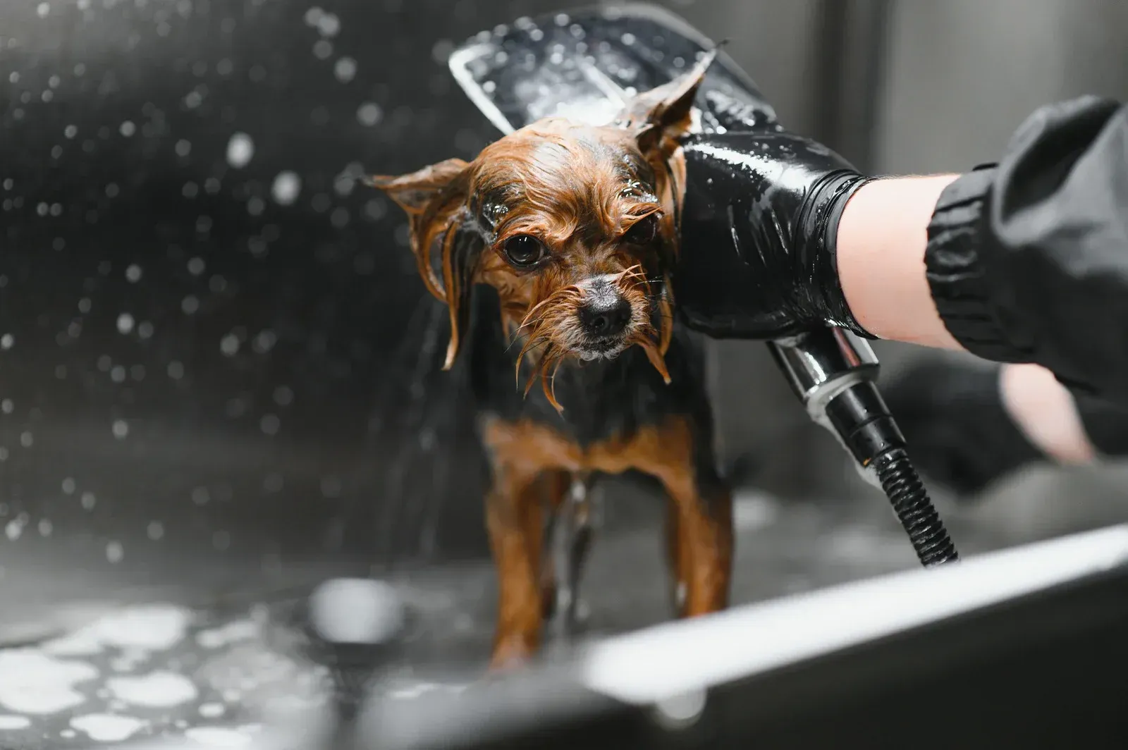 A white truck is parked in a parking lot next to a building.