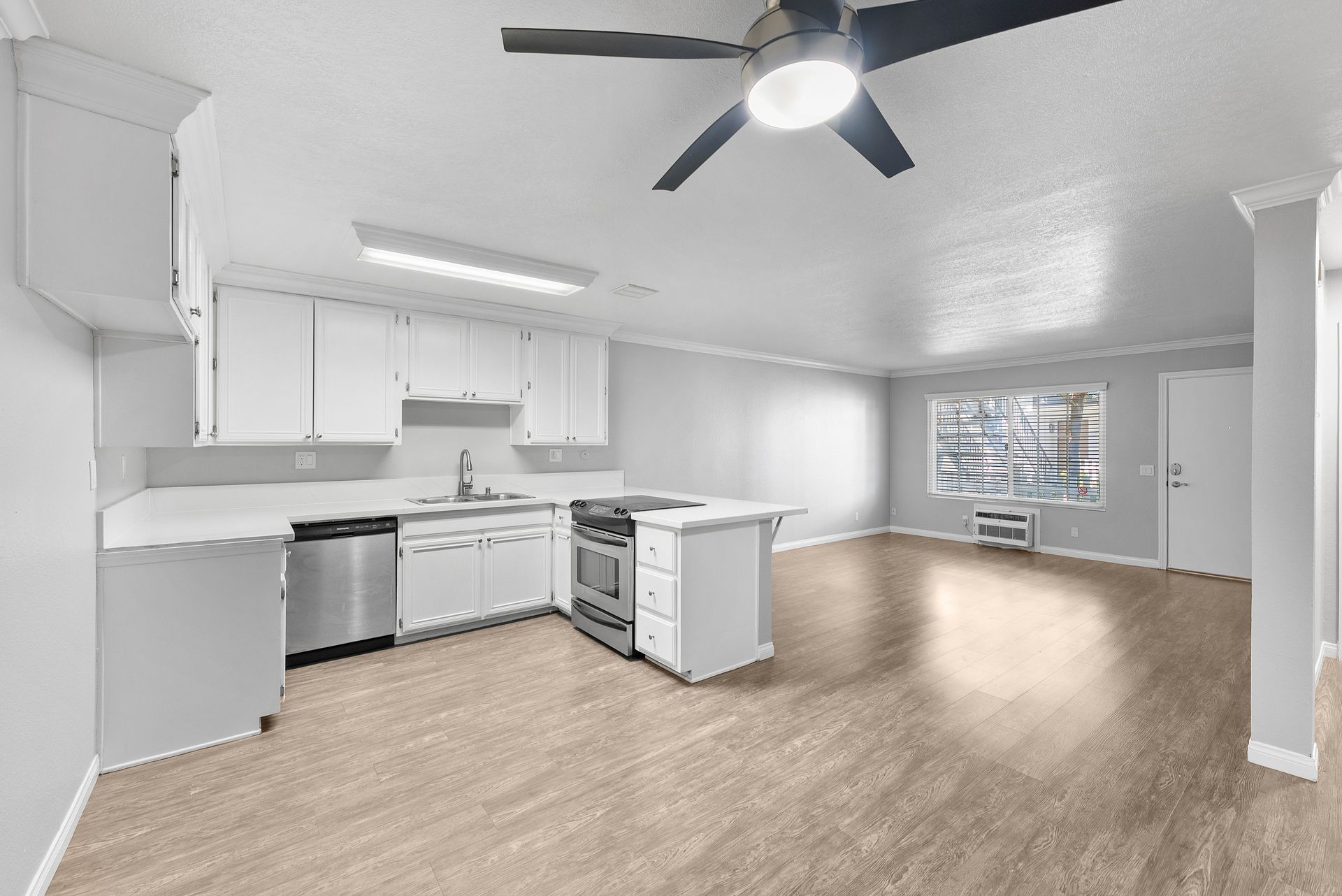 apartment kitchen and living room