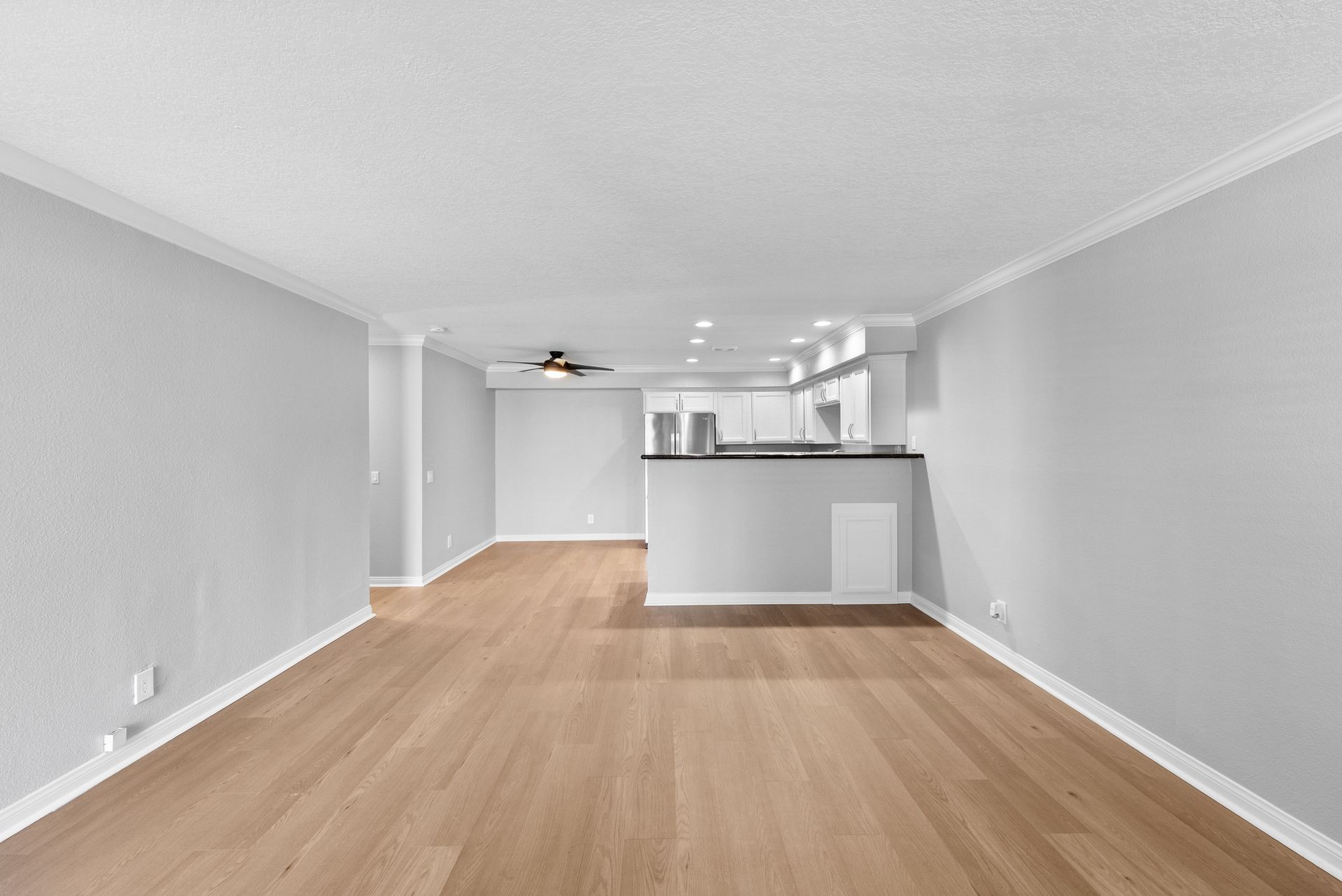 apartment living room and counter