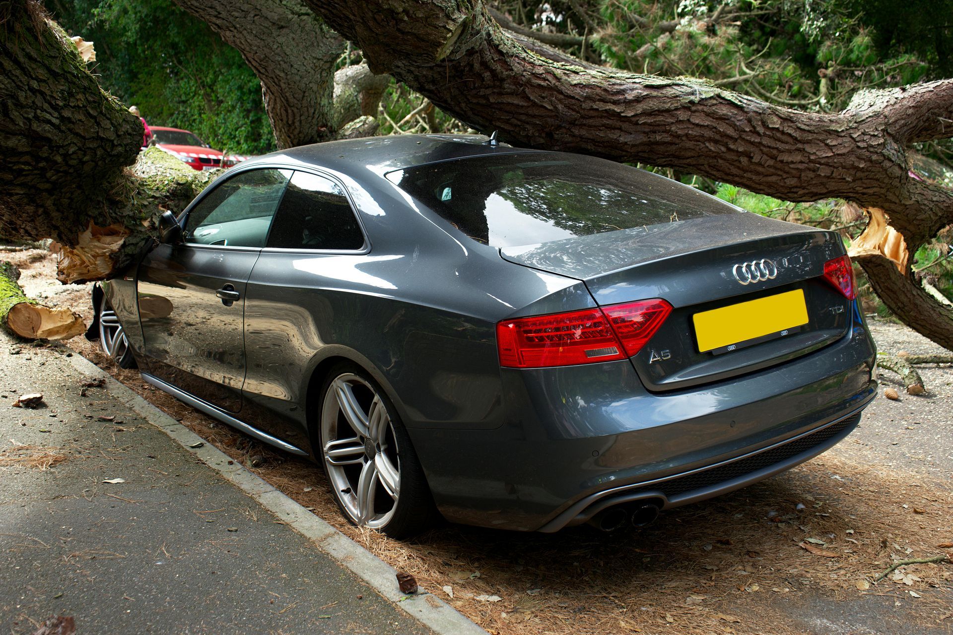 Gray Audi sedan crushed by a fallen tree branch on a roadside
