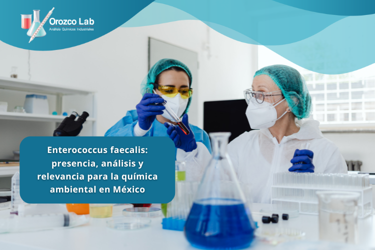 enterococcus-faecalis-presencia-analisis-y-relevancia-para-la-quimica-ambiental-en-mexico