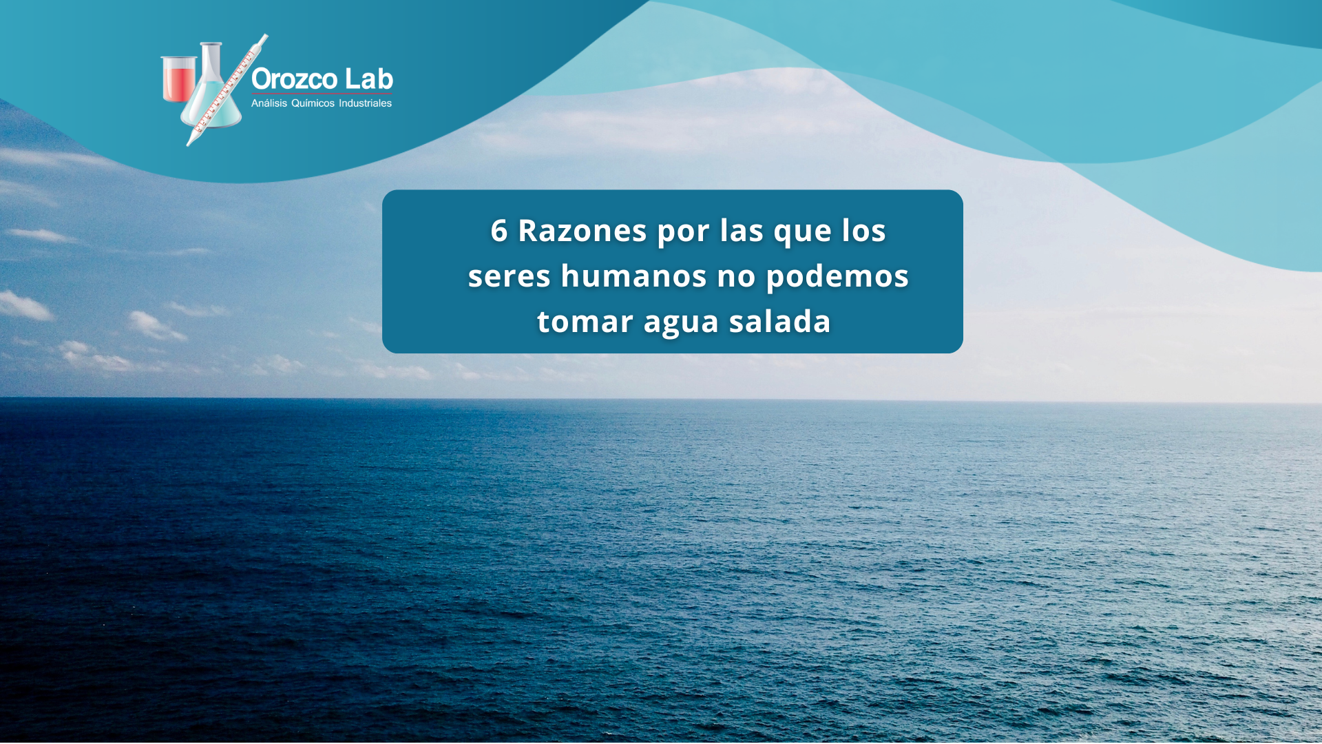 6 Razones por las que los seres humanos no podemos tomar agua salada 