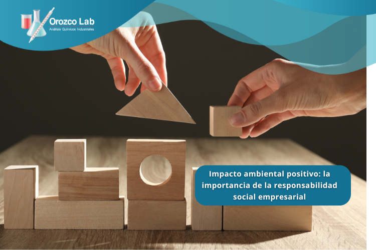 la-importancia-de-la-responsabilidad-social-empresarial
