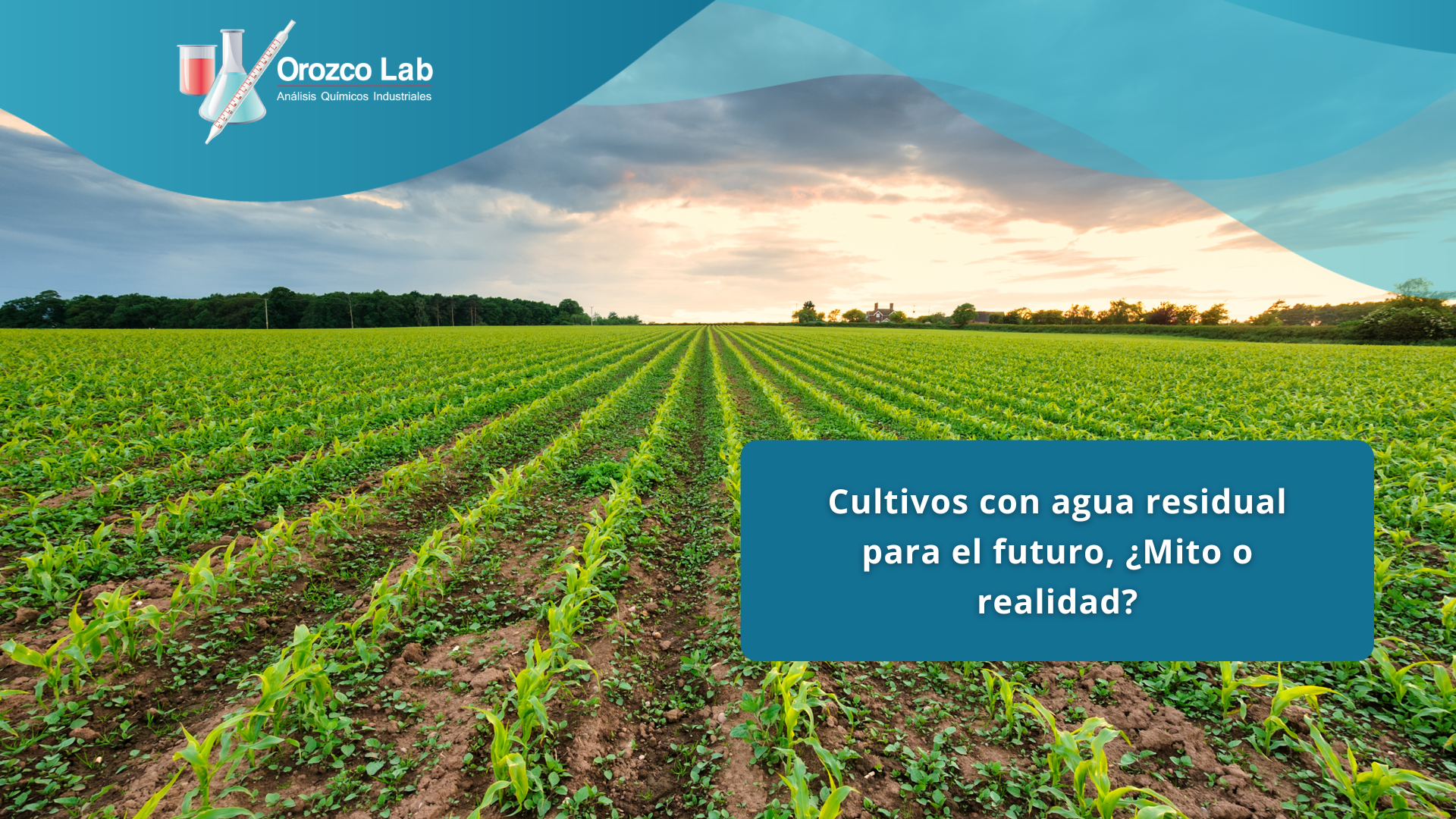 Cultivos con agua residual para el futuro, ¿Mito o realidad?