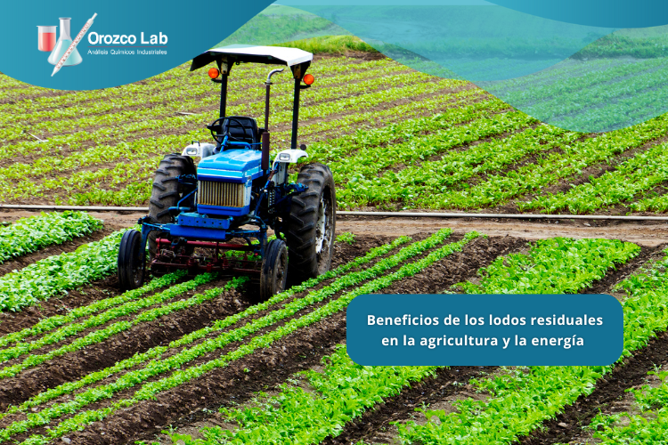 beneficios-de-los-lodos-residuales-en-la-agricultura-y-la-energia