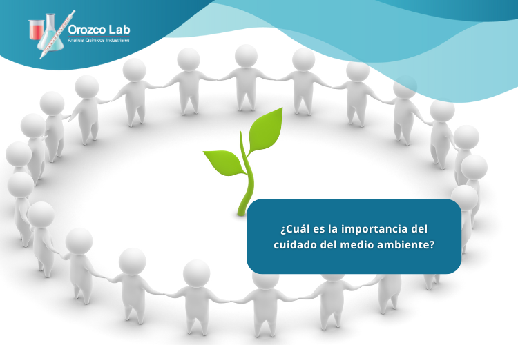 cual-es-la-importancia-del-cuidado-del-medio-ambiente
