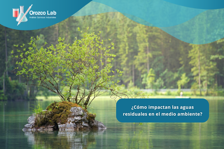 como-impactan-las-aguas-residuales-en-el-medio-ambiente
