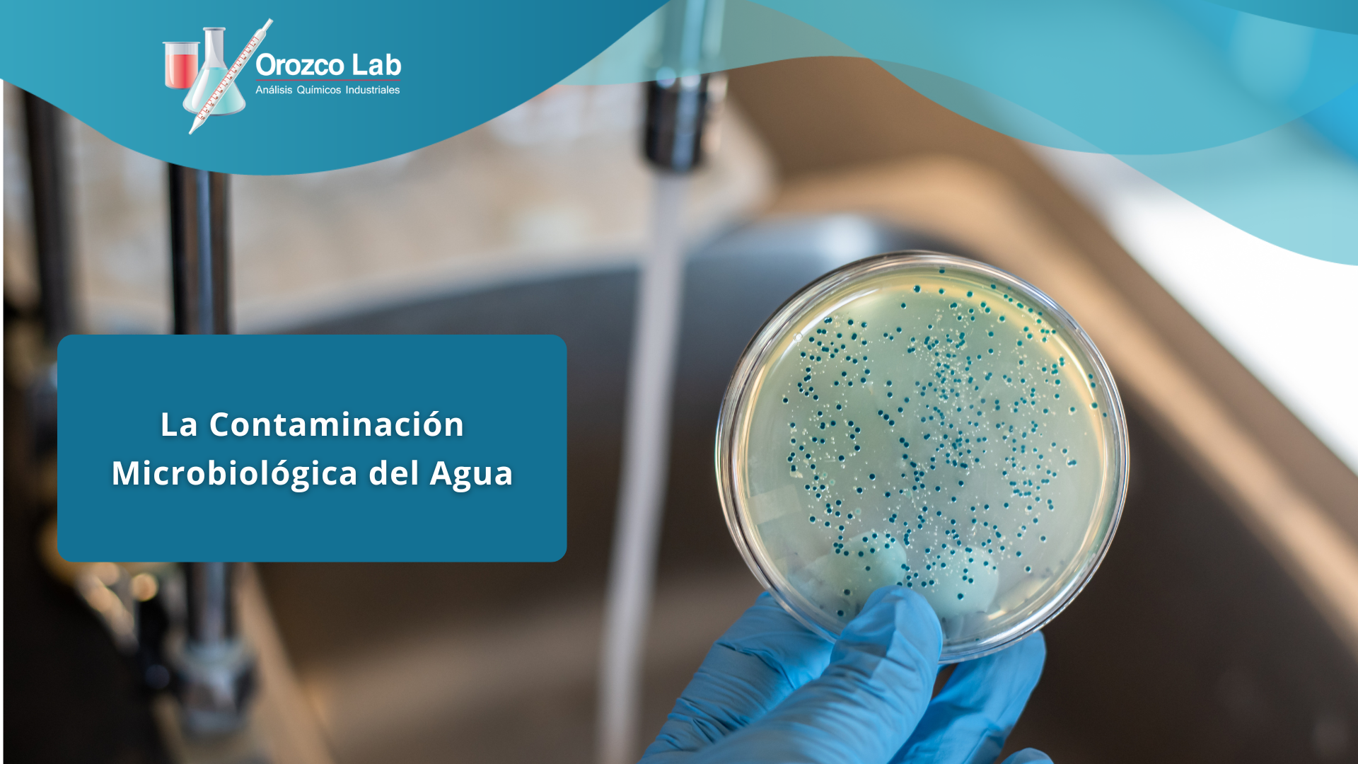 la-contaminacion-microbiologica-del-agua