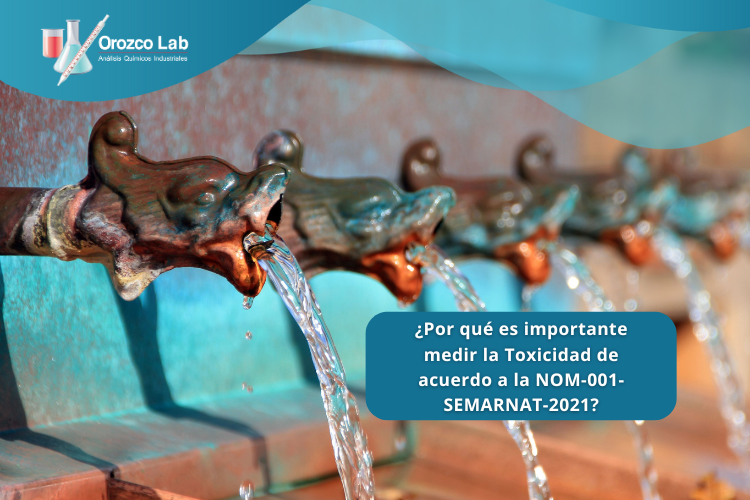 por-que-es-importante-medir-la-toxicidad-de-acuerdo-a-la-nom-001-semarnat-2021