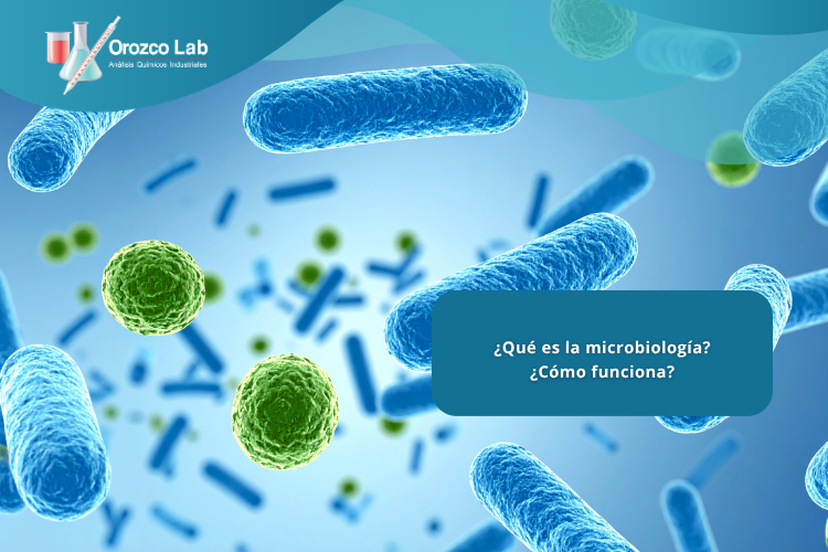 que-es-la-microbiologia-como-funciona