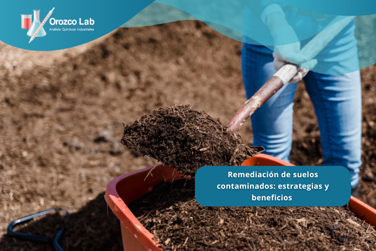 remediacion-de-suelos-contaminados-estartegias-y-beneficios Remediación de suelos contaminados: estrategias y beneficios
