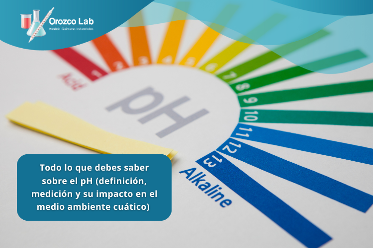 todo-lo-que-debes-saber-sobre-el-ph-definicion-medicion