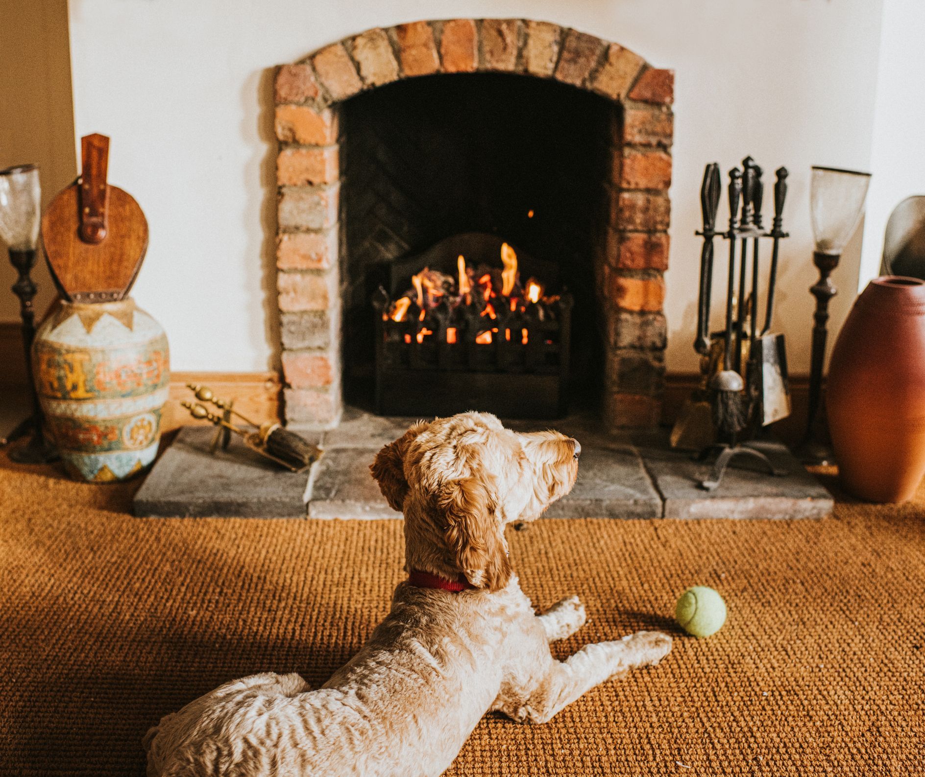 Dog lying on rug, looking at lit fireplace; ball nearby.