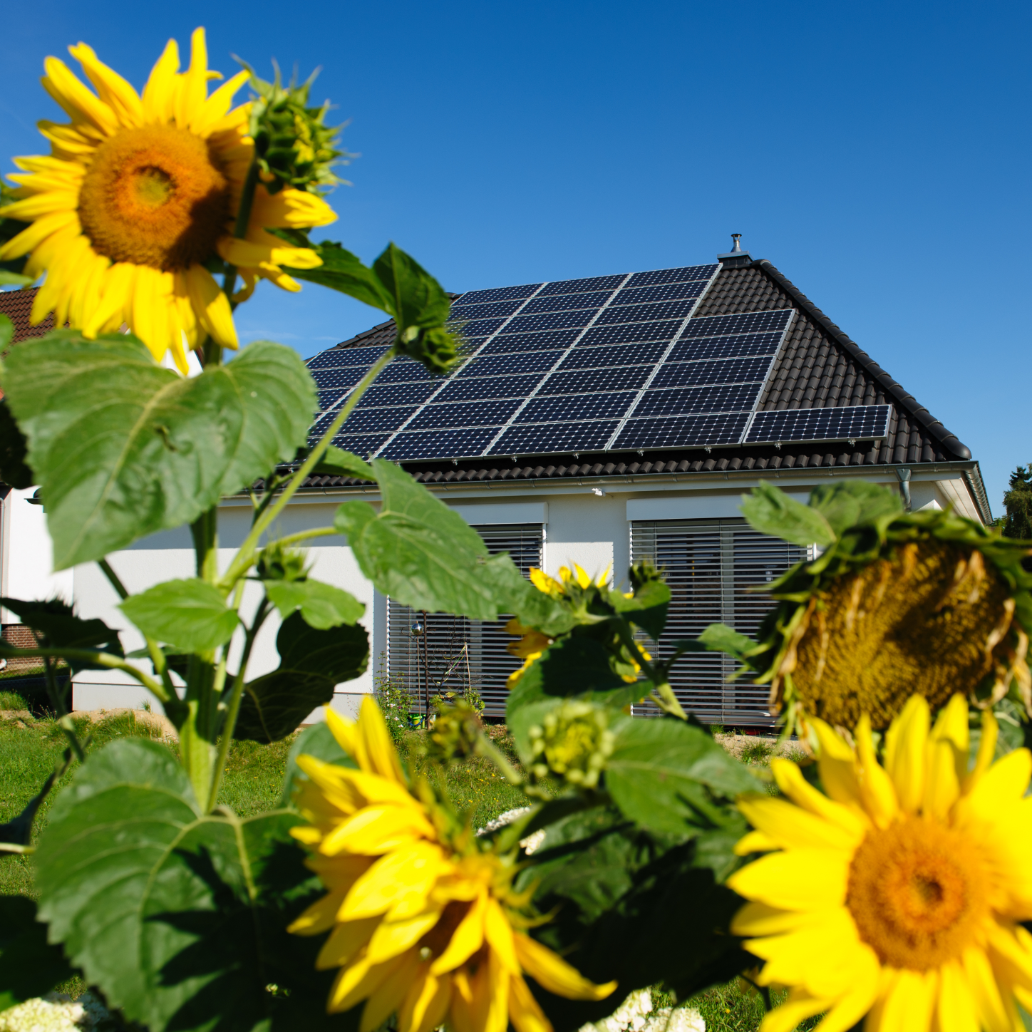 Stockton Solar Roofer