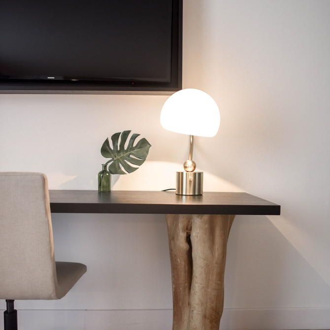 A desk with a lamp and a plant on it