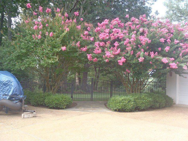Arched Top Gate — Madison, VA — Joe Phillips Fence Co.