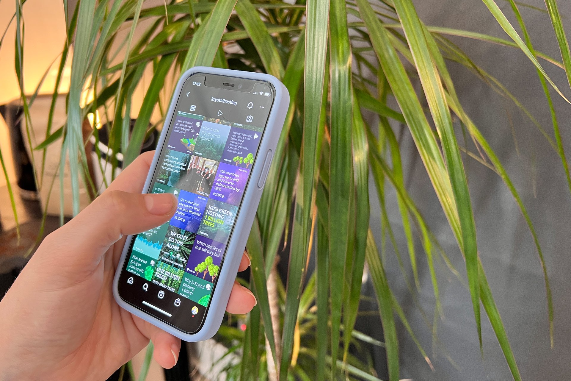 A hand holds a phone in front of a backdrop of foliage. A turquoise, green and purple themed social media feed is visible on the screen.