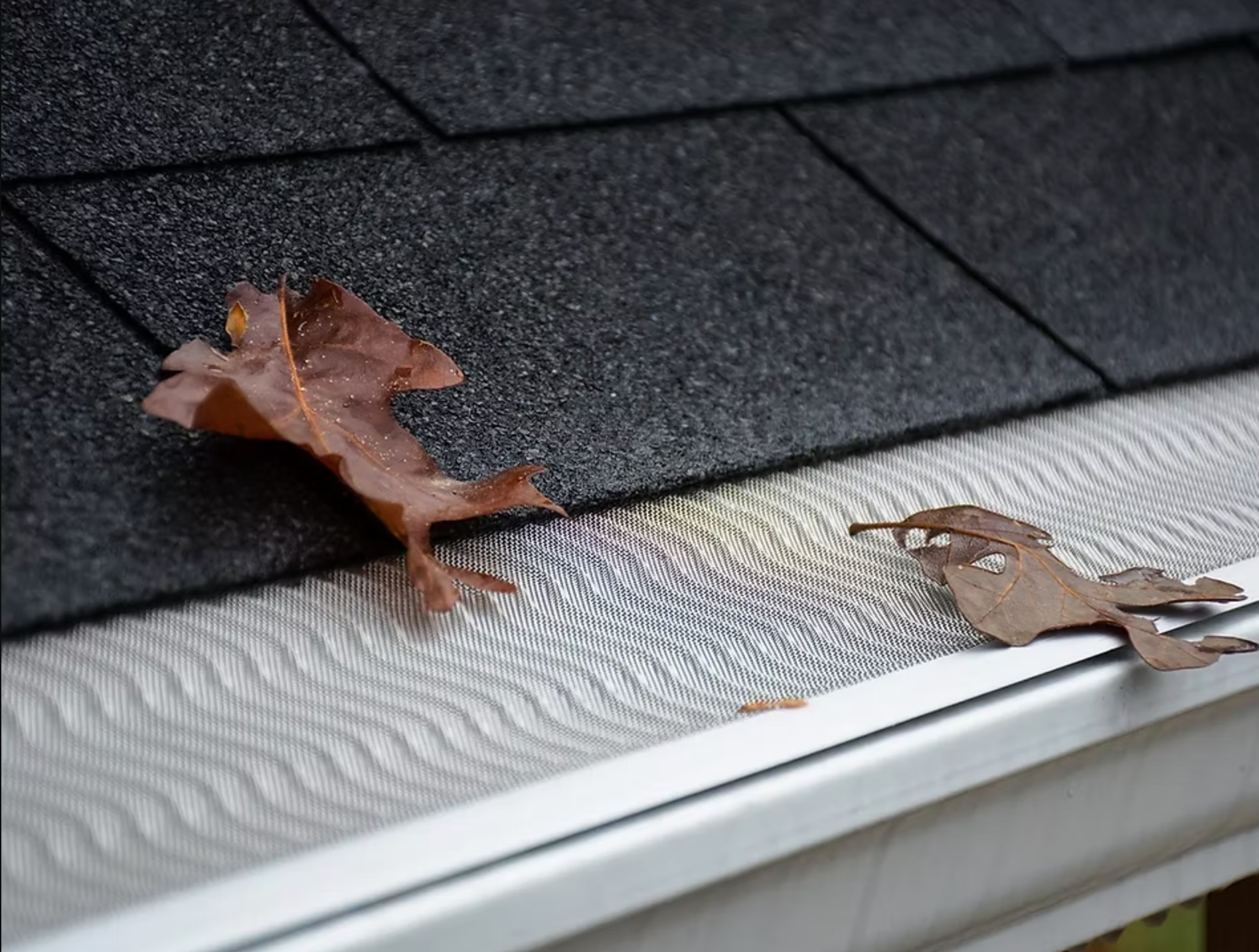 A leaf is sitting on top of a gutter on a roof.