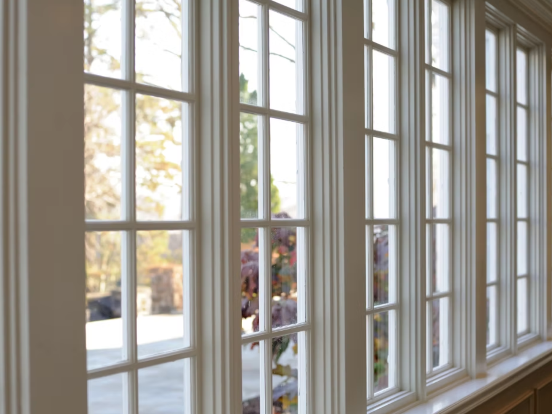 A room with a lot of windows and a reflection of trees