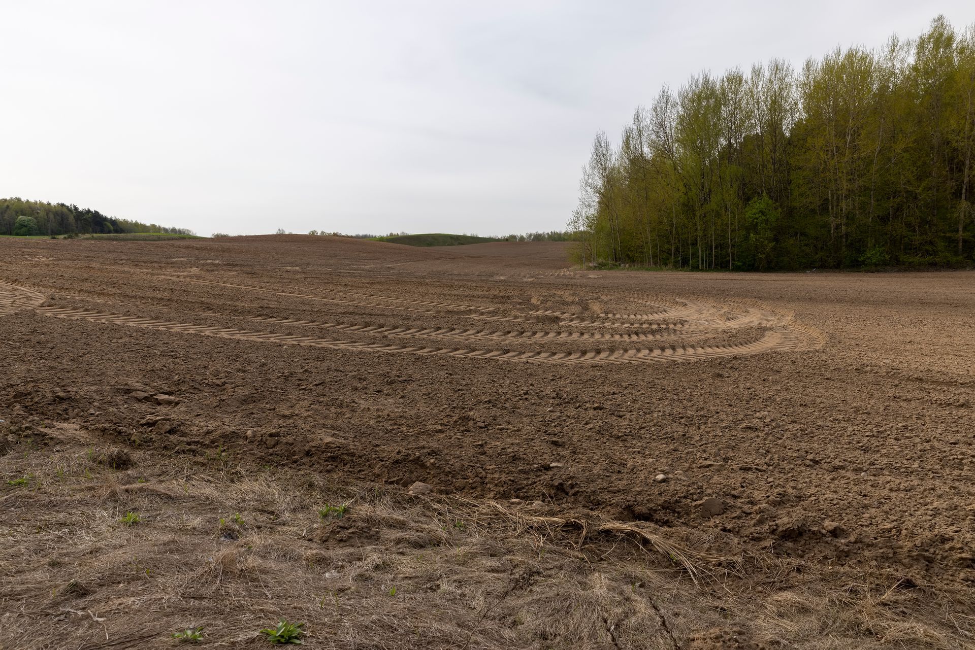 Land clearing Camden SC Land clearing Camden SC