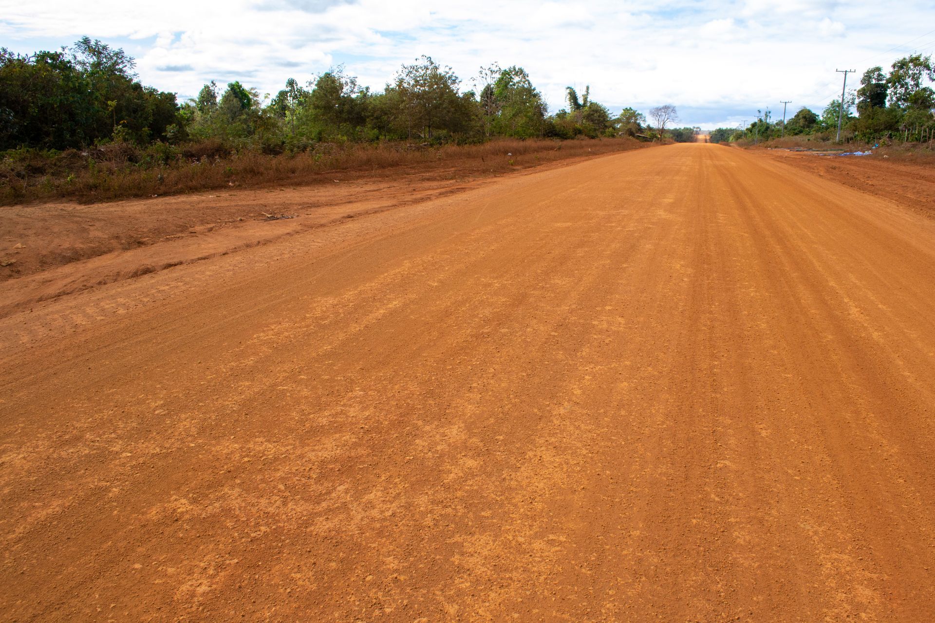 Land clearing Harleyville SC Land clearing Harleyville SC