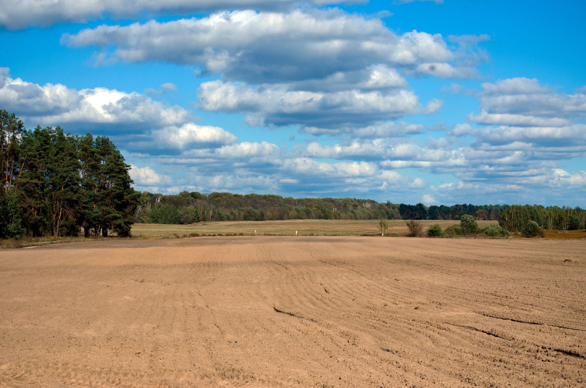 Land clearing Florence SC