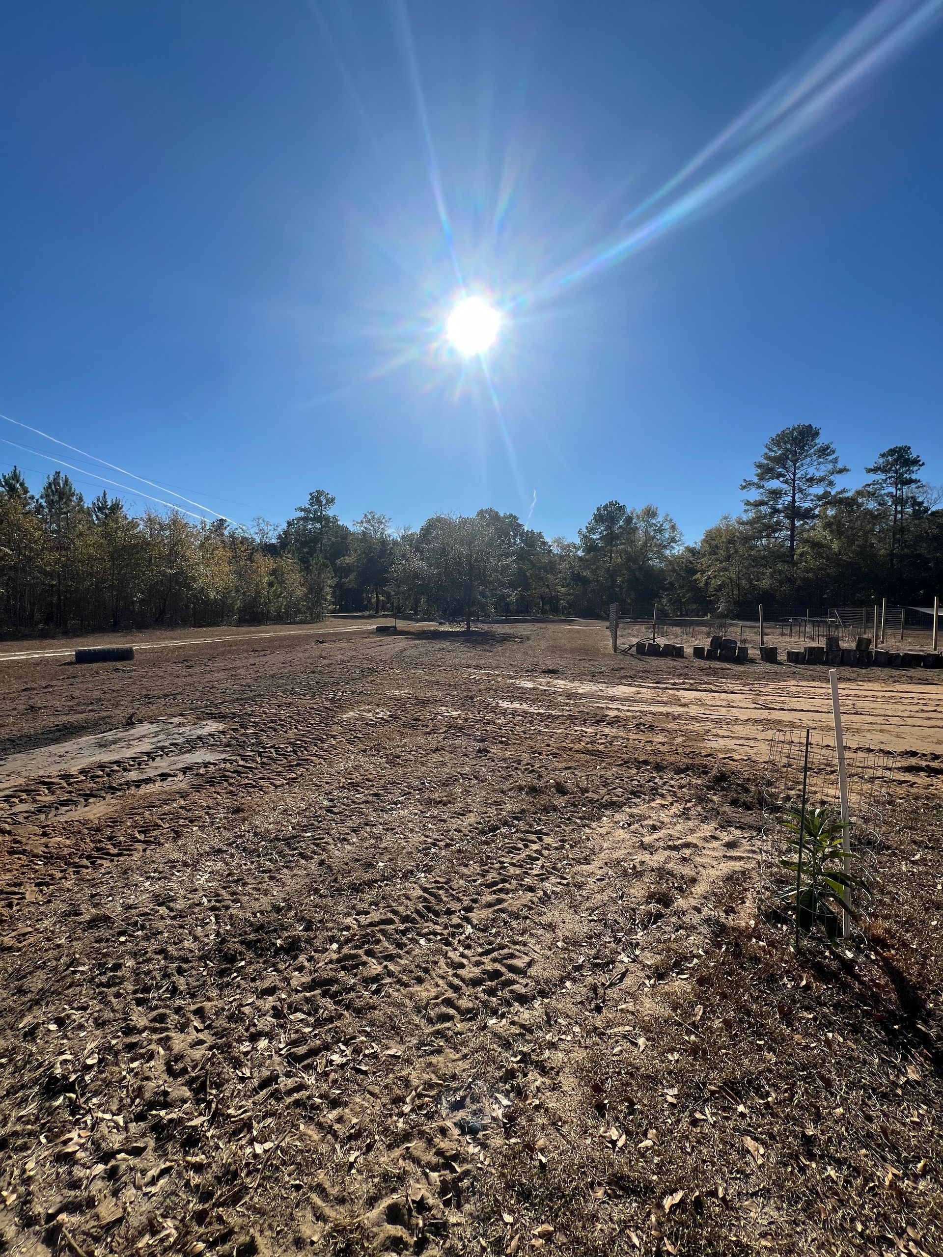 Land clearing Charleston SC Land clearing Charleston SC