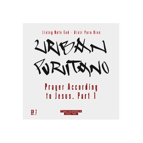 web design Chicago Urban Puritano