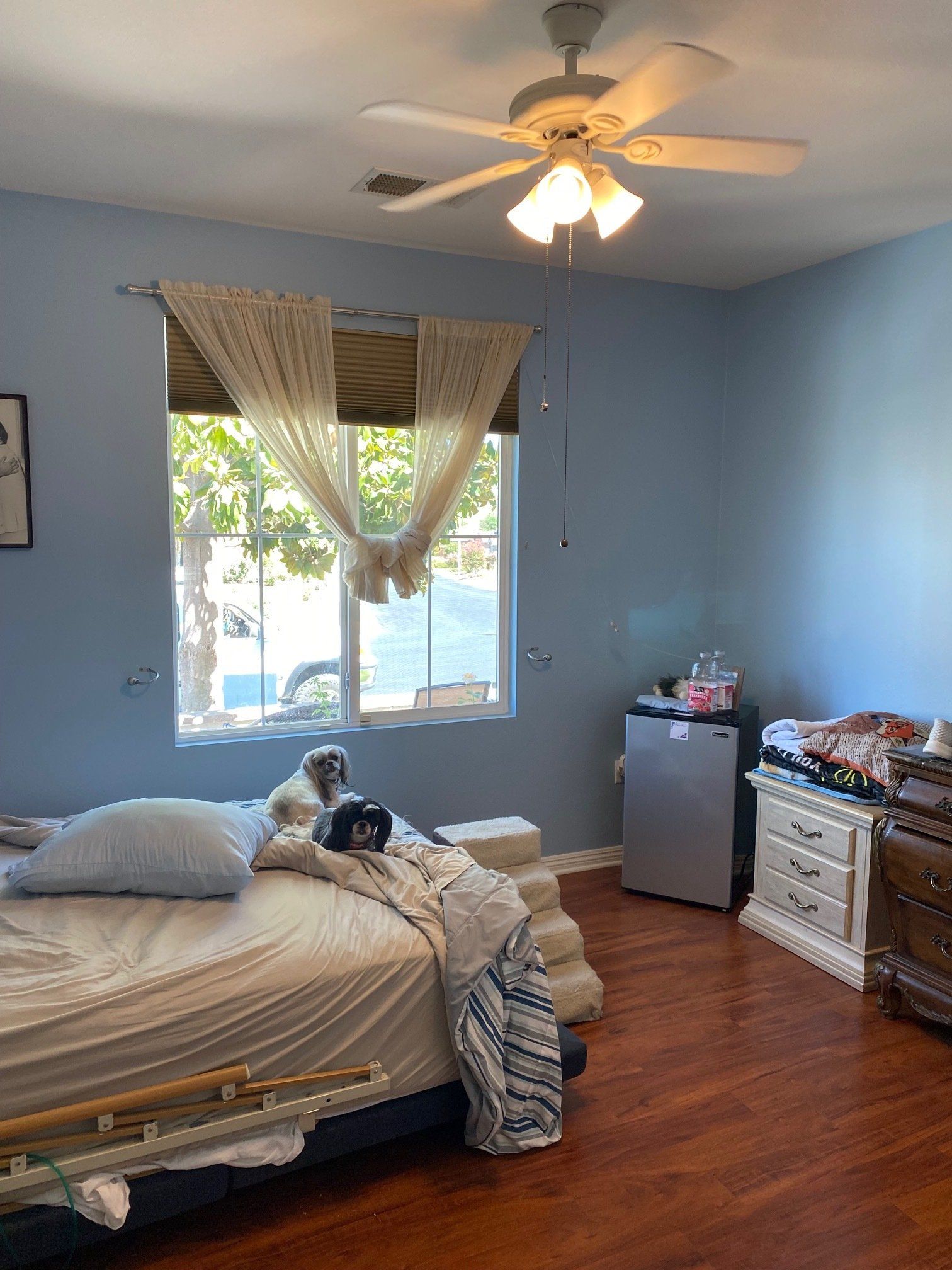 Tru Quality Painting, San Jacinto CA, Hemet CA, Green Acres CA, Winchester CA, Dutch Village CA, Temecula CA, Menifee CA, Sun City Menifee CA, Murrieta CA, Wildomar CA, Canyon Lake CA, Lake Elsinore CA, Perris CA, Mead Valley CA, Lakeview CA, Moreno Valley CA, Banning CA, Beaumont CA, Idyllwild Ca, Valle Vista CA, Painting Contractor Near Me, Painting Company Near Me, Exterior Painting, Exterior Painting Near Me, Stucco Painting, Fence Painting, Siding Painting, Railing Painting, Interior Painting, Interior Painting Near Me, Door Painting, Wall Painting, Ceiling Painting, Trim Painting, Crown Molding Painting, Cabinet Painting, Cabinet Painting Near Me, Repaint Cabinets, Staining, Staining Near Me, Staining Cabinets, Railing Staining, Door Staining, Trim Staining, Epoxy Flooring, Epoxy Flooring Near Me, Epoxy Garage Flooring, Epoxy Garage Flooring Near Me, Floor Coating, Floor Coating Near Me