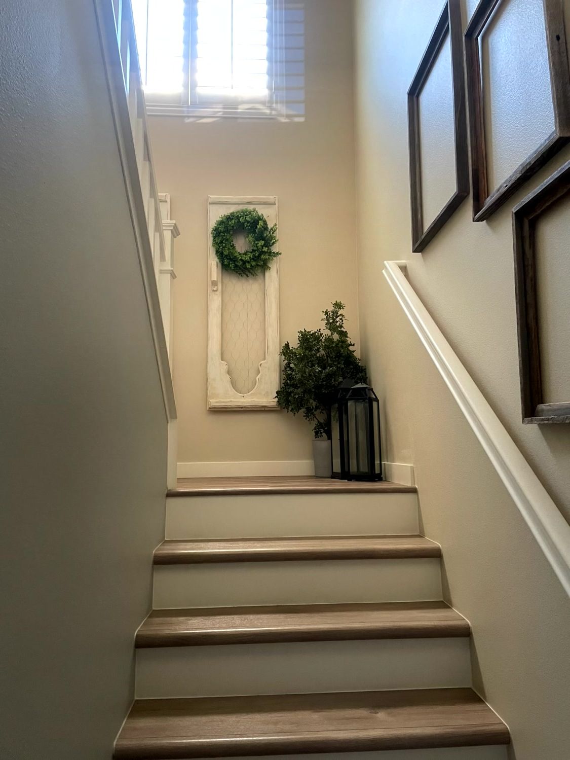 Tru Quality Painting, San Jacinto CA, Hemet CA, Green Acres CA, Winchester CA, Dutch Village CA, Temecula CA, Menifee CA, Sun City Menifee CA, Murrieta CA, Wildomar CA, Canyon Lake CA, Lake Elsinore CA, Perris CA, Mead Valley CA, Lakeview CA, Moreno Valley CA, Banning CA, Beaumont CA, Idyllwild Ca, Valle Vista CA, Painting Contractor Near Me, Painting Company Near Me, Exterior Painting, Exterior Painting Near Me, Stucco Painting, Fence Painting, Siding Painting, Railing Painting, Interior Painting, Interior Painting Near Me, Door Painting, Wall Painting, Ceiling Painting, Trim Painting, Crown Molding Painting, Cabinet Painting, Cabinet Painting Near Me, Repaint Cabinets, Staining, Staining Near Me, Staining Cabinets, Railing Staining, Door Staining, Trim Staining, Epoxy Flooring, Epoxy Flooring Near Me, Epoxy Garage Flooring, Epoxy Garage Flooring Near Me, Floor Coating, Floor Coating Near Me