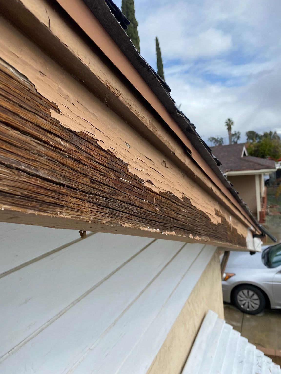 Tru Quality Painting, San Jacinto CA, Hemet CA, Green Acres CA, Winchester CA, Dutch Village CA, Temecula CA, Menifee CA, Sun City Menifee CA, Murrieta CA, Wildomar CA, Canyon Lake CA, Lake Elsinore CA, Perris CA, Mead Valley CA, Lakeview CA, Moreno Valley CA, Banning CA, Beaumont CA, Idyllwild Ca, Valle Vista CA, Painting Contractor Near Me, Painting Company Near Me, Exterior Painting, Exterior Painting Near Me, Stucco Painting, Fence Painting, Siding Painting, Railing Painting, Interior Painting, Interior Painting Near Me, Door Painting, Wall Painting, Ceiling Painting, Trim Painting, Crown Molding Painting, Cabinet Painting, Cabinet Painting Near Me, Repaint Cabinets, Staining, Staining Near Me, Staining Cabinets, Railing Staining, Door Staining, Trim Staining, Epoxy Flooring, Epoxy Flooring Near Me, Epoxy Garage Flooring, Epoxy Garage Flooring Near Me, Floor Coating, Floor Coating Near Me