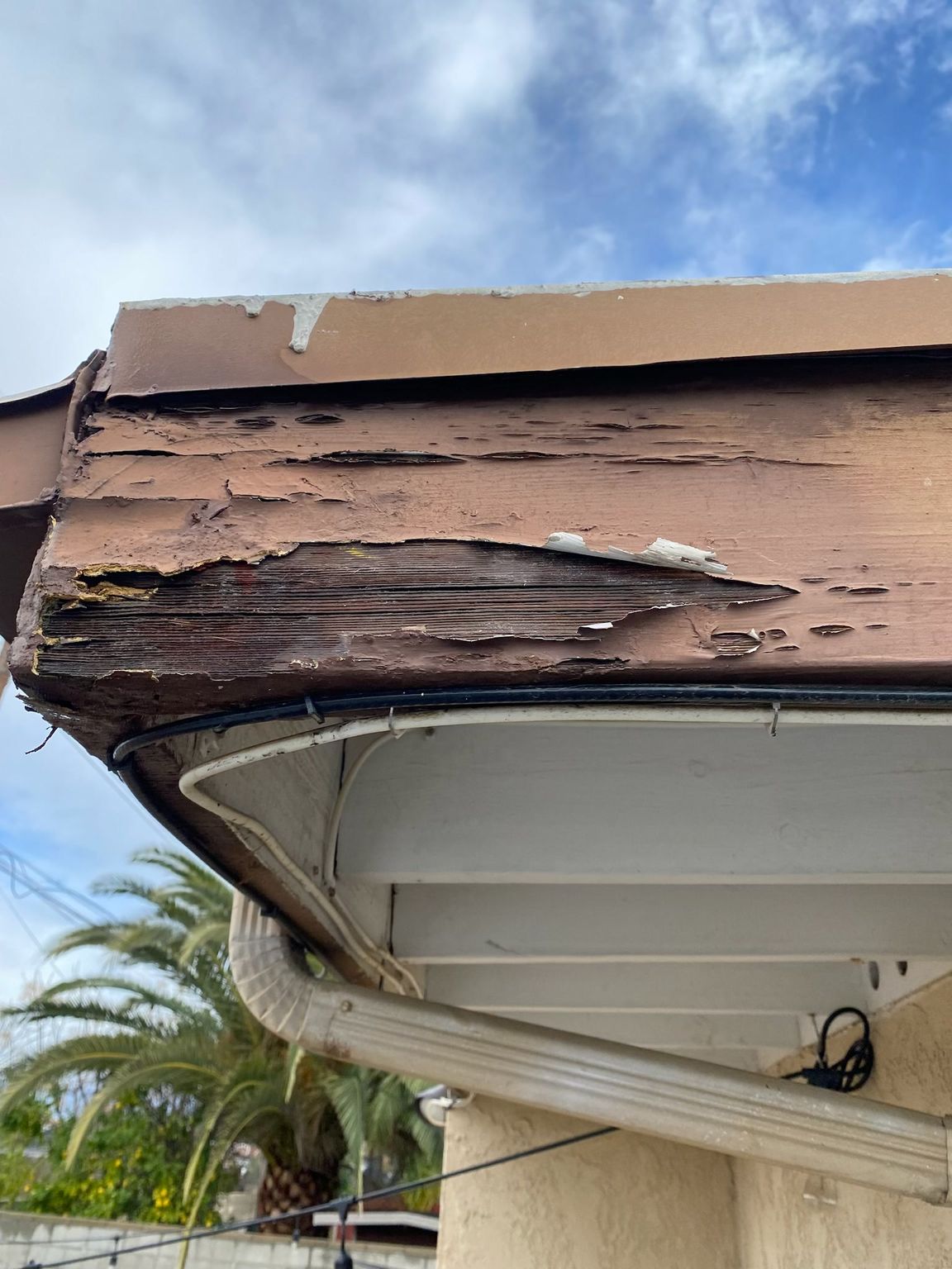 Tru Quality Painting, San Jacinto CA, Hemet CA, Green Acres CA, Winchester CA, Dutch Village CA, Temecula CA, Menifee CA, Sun City Menifee CA, Murrieta CA, Wildomar CA, Canyon Lake CA, Lake Elsinore CA, Perris CA, Mead Valley CA, Lakeview CA, Moreno Valley CA, Banning CA, Beaumont CA, Idyllwild Ca, Valle Vista CA, Painting Contractor Near Me, Painting Company Near Me, Exterior Painting, Exterior Painting Near Me, Stucco Painting, Fence Painting, Siding Painting, Railing Painting, Interior Painting, Interior Painting Near Me, Door Painting, Wall Painting, Ceiling Painting, Trim Painting, Crown Molding Painting, Cabinet Painting, Cabinet Painting Near Me, Repaint Cabinets, Staining, Staining Near Me, Staining Cabinets, Railing Staining, Door Staining, Trim Staining, Epoxy Flooring, Epoxy Flooring Near Me, Epoxy Garage Flooring, Epoxy Garage Flooring Near Me, Floor Coating, Floor Coating Near Me