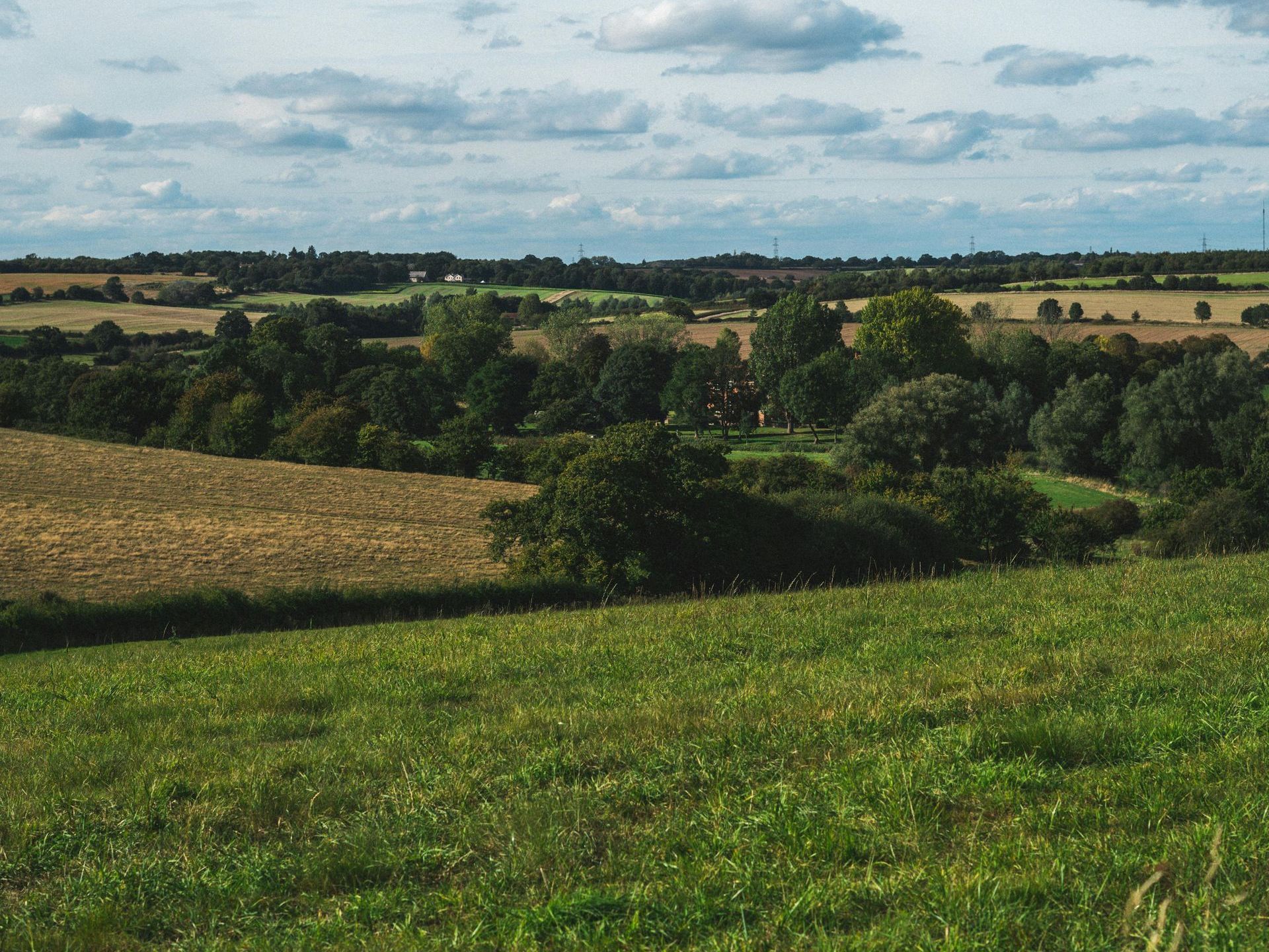 A lush green field with trees and fields in the background