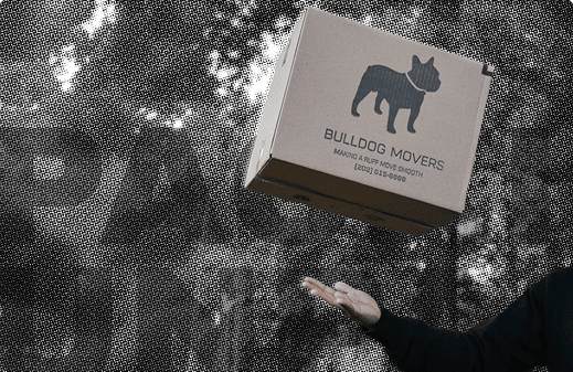Carefully packed moving box showing attention to detail by Bulldog Movers