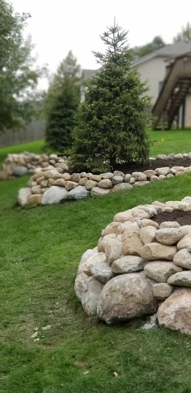 Rock-bordered lawn with evergreen shrubs and a house in the background