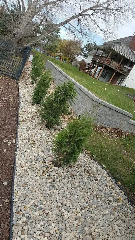 Gravel path lined with small shrubs beside a house and leafless trees on a cloudy day
