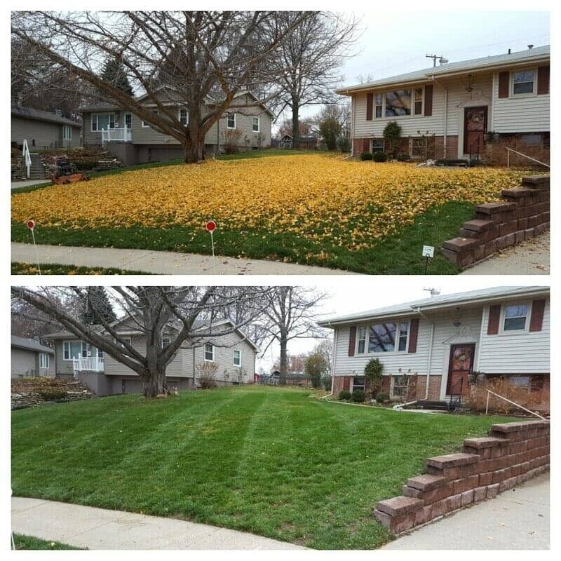 Before-and-after lawn: yellow leaf-covered yard transforms to neatly mowed green grass in a suburban front yard.