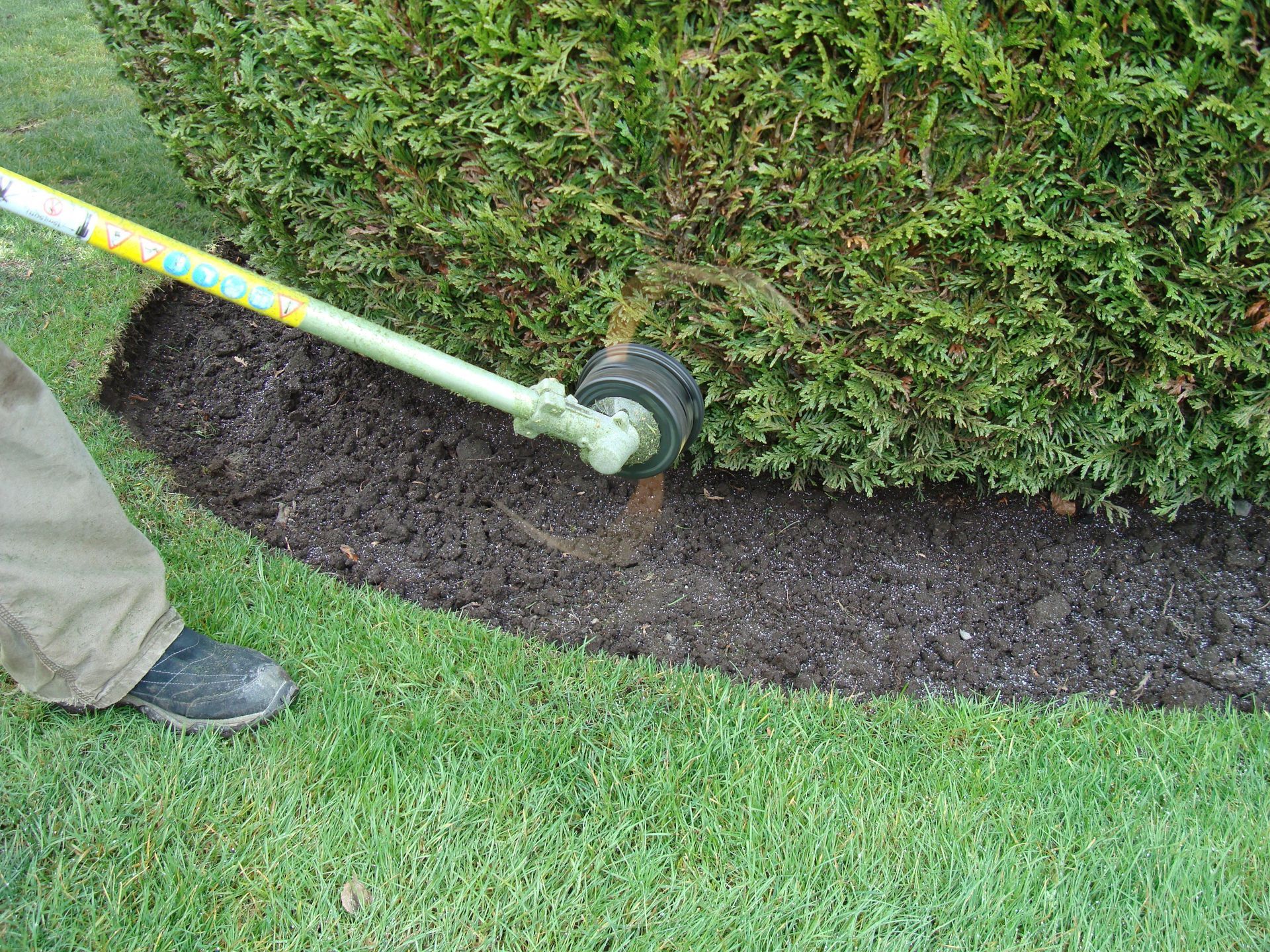 Worker edging a lawn with a string trimmer beside a hedge