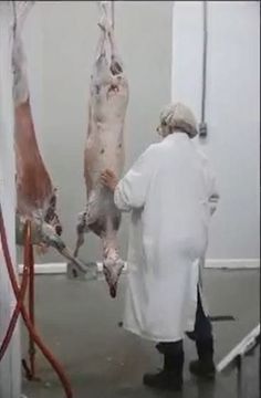 Slaughter Near Me