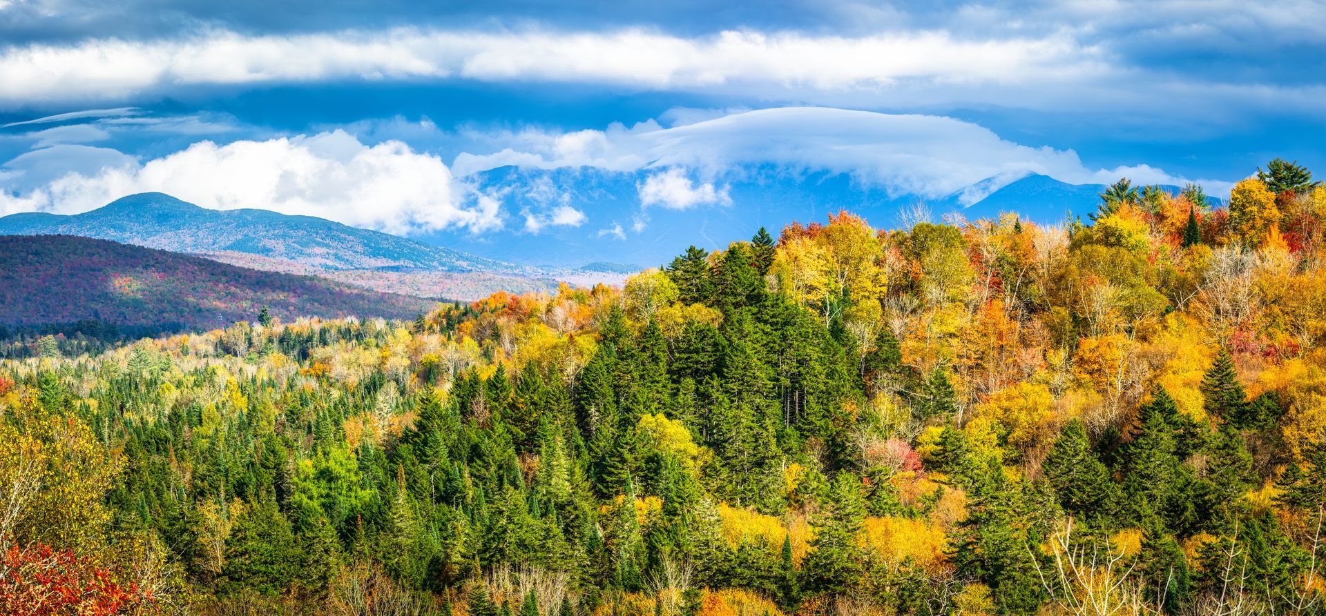 Autumn trees with vibrant colors under a cloudy sky, mountains in the distance.