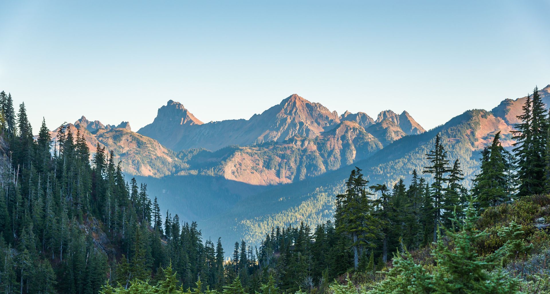 Mountains and evergreen trees under a clear blue sky.