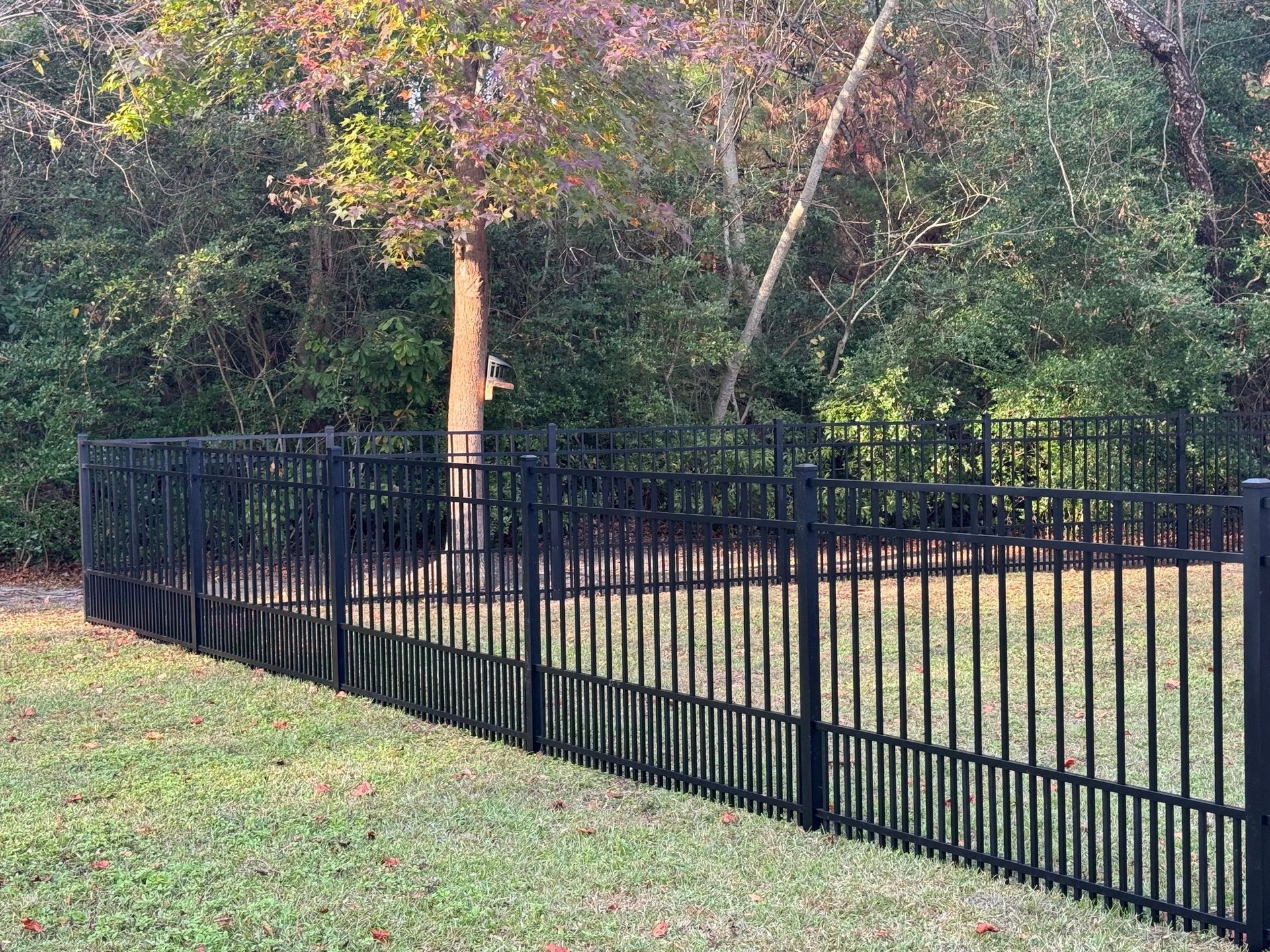 Black metal fence surrounding a grassy yard with a tree and foliage in the background.