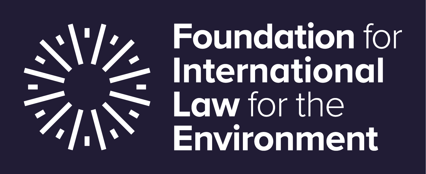 Logo for Foundation for International Law for the Environment; white burst symbol on a navy blue background.