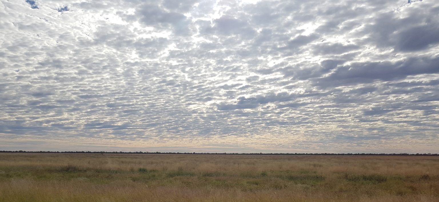 Overcast sky above a vast field of dry grass.