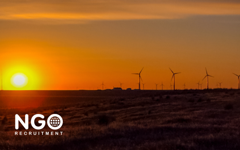 Sunset over a field with windmills; NGO Recruitment logo at the bottom left.